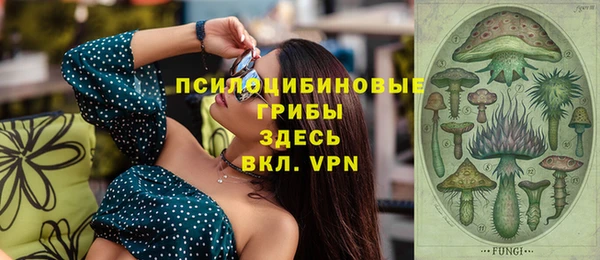 СК Арсеньев
