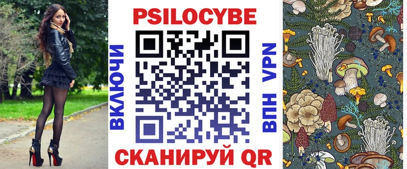 мориарти клад  Солнечногорск  Псилоцибиновые грибы Cubensis 