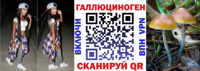 Галлюциногенные грибы GOLDEN TEACHER Солнечногорск